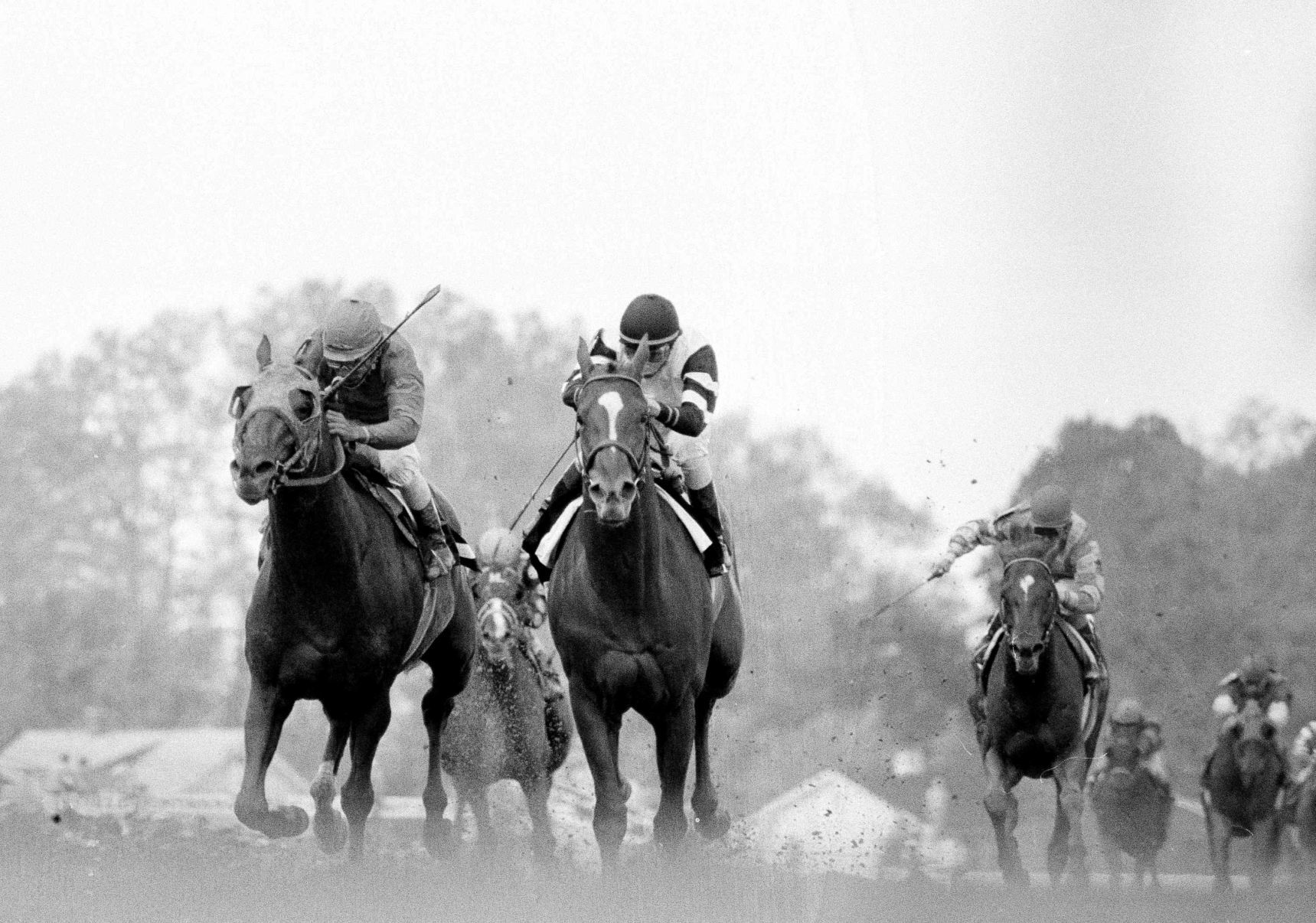 1978: Affirmed wins Preakness by a neck